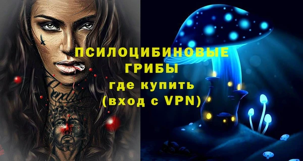 ГАЛЛЮЦИНОГЕННЫЕ ГРИБЫ Белокуриха