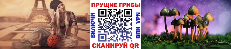 даркнет сайт  Ворсма  Псилоцибиновые грибы MAGIC MUSHROOMS 